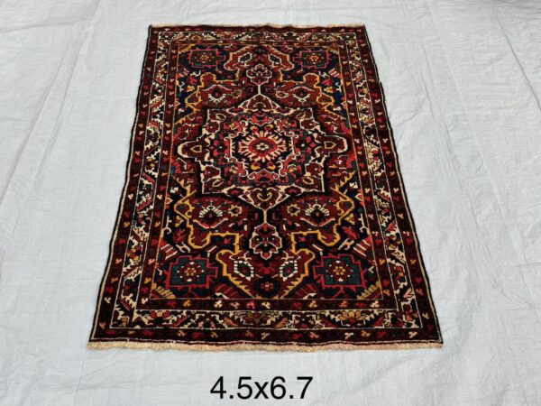 Persian Tribal Bakhtiar Rug